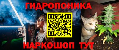 бошки Тара